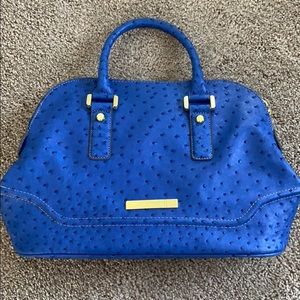 Gorgeous blue purse